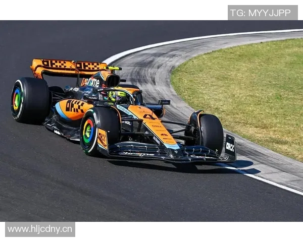 F1赛车工程师对比赛策略的重要作用